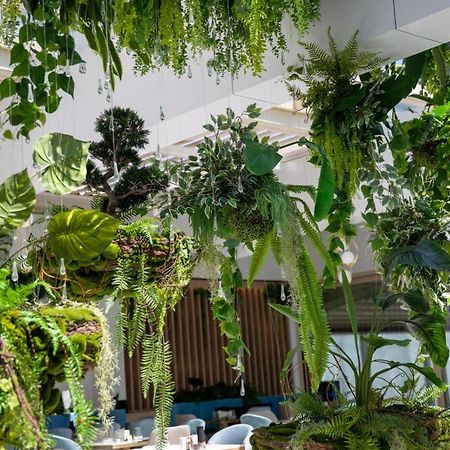 Reyna Apart Hotel Köstence Dış mekan fotoğraf